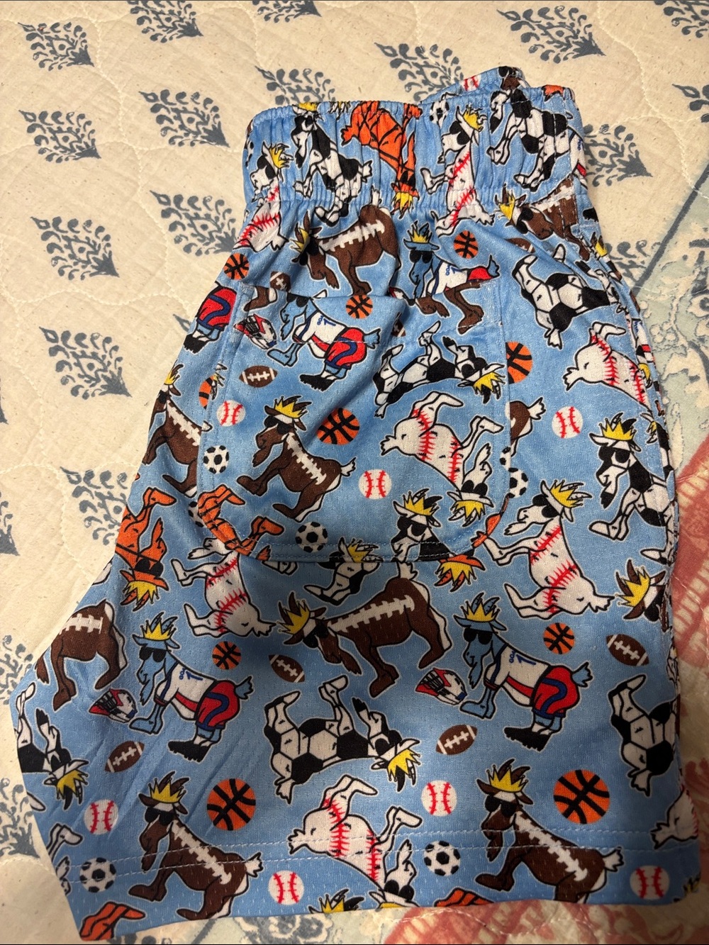 GOAT USA Light GOAT & Sports Print Pull-On Shorts - Picture 5 of 6